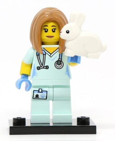 veterinarian lego